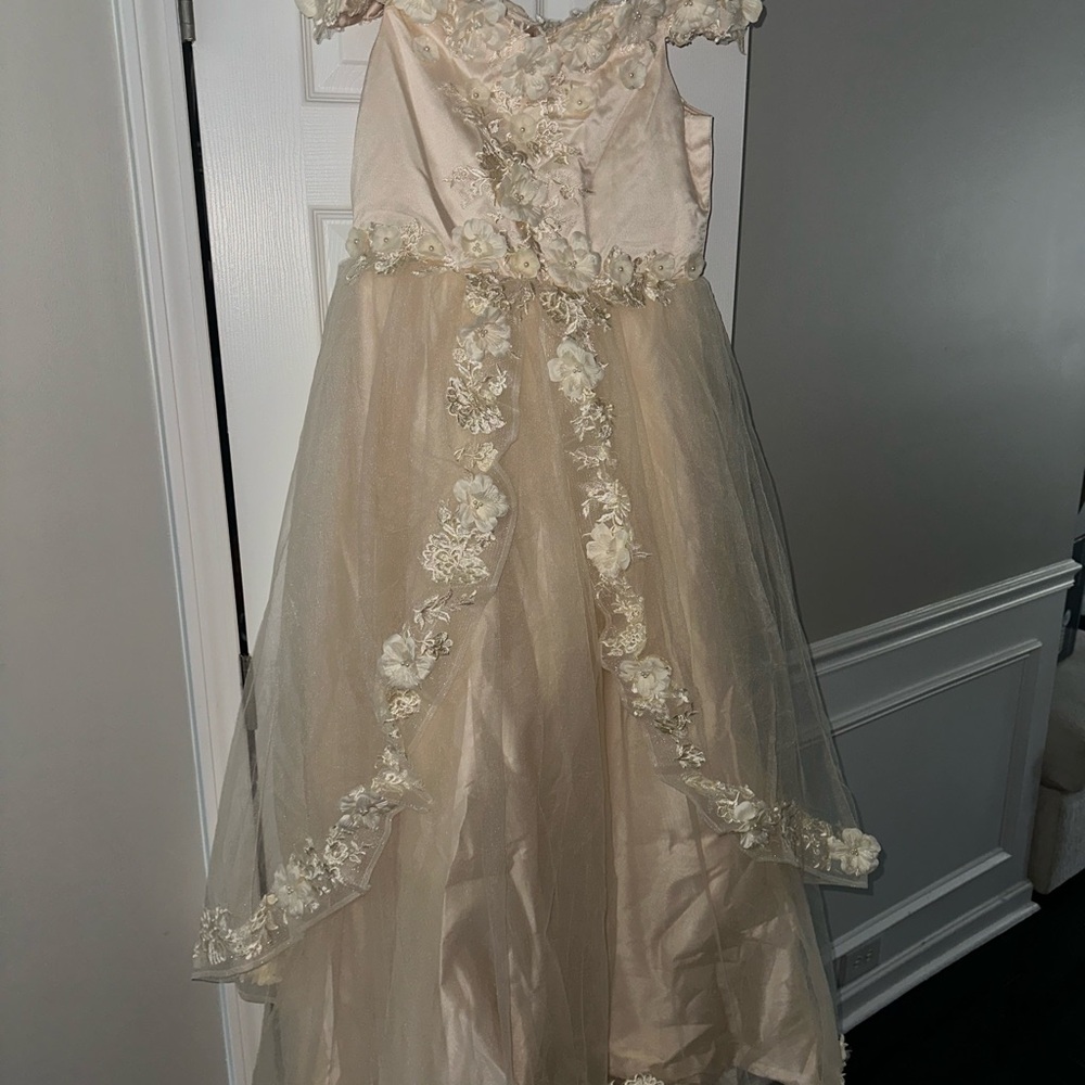 Champagne lace ball formal gown